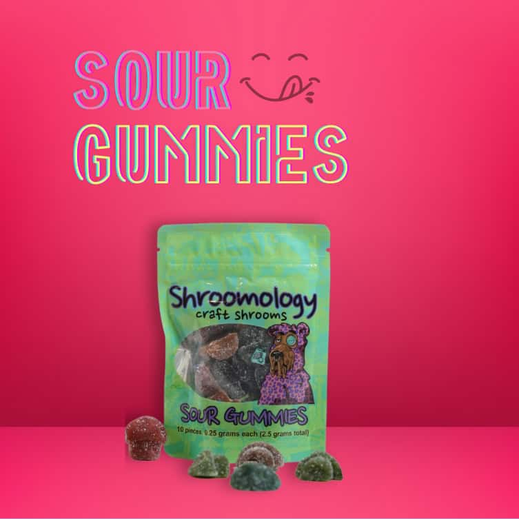 Shroomology SOUR GUMMIES 2.5g
